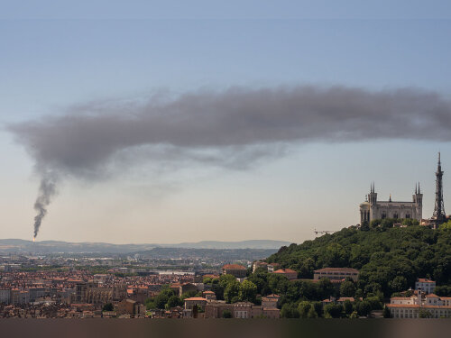 ©  CC BY-SA 4.0 - RadishSlice