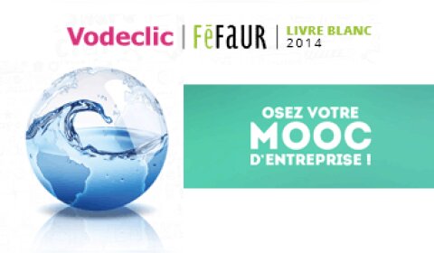 3 conseils pour lancer son premier Mooc d’entreprise - D.R.