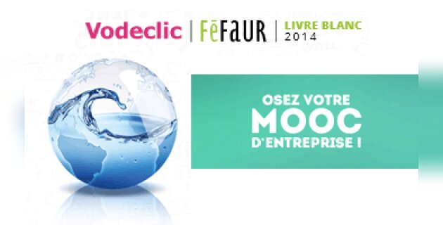 3 conseils pour lancer son premier Mooc d’entreprise - D.R.