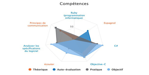 Visualiser les compétences de vos équipes avec SkillsBoard - D.R.