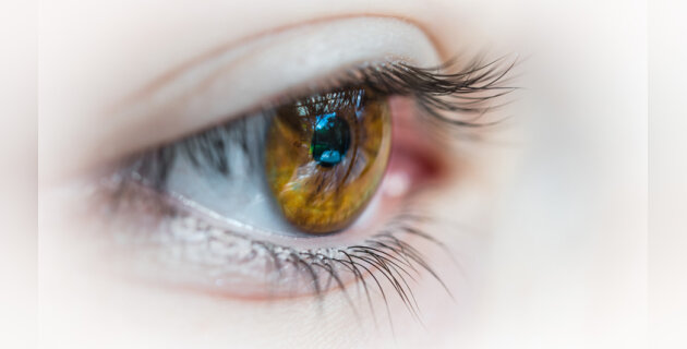Ce que l’eye tracking apporte à la formation - D.R.