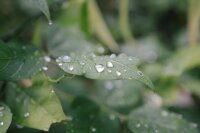 ©  Pok Rie de Pexels