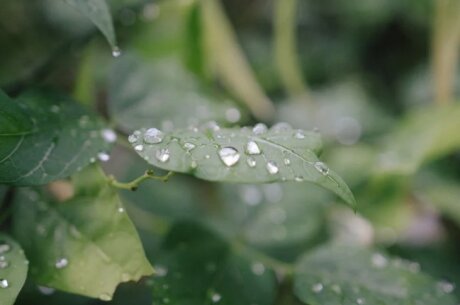©  Pok Rie de Pexels