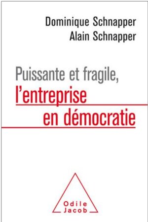 Puissante et fragile, l’entreprise en démocratie » de Dominique et Alain Schnapper - © D.R.