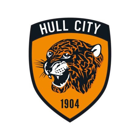 ©  Hull City