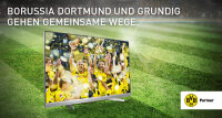 ©  BVB