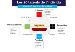 Les 20 talents de l’individu dans les 5 fonctions du système - © D.R.