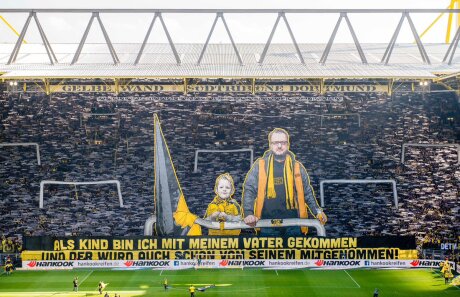 ©  BVB