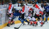 ©  liguemagnus.com