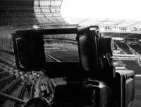 ©  Hull City