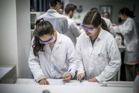 135 chaires de professeur junior ont été attribuées en 2022. - © France Universités - Université de Haute-Alsace