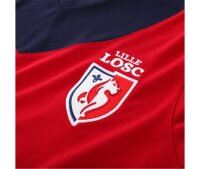 ©  LOSC