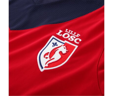 ©  LOSC