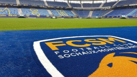 ©  FCSM