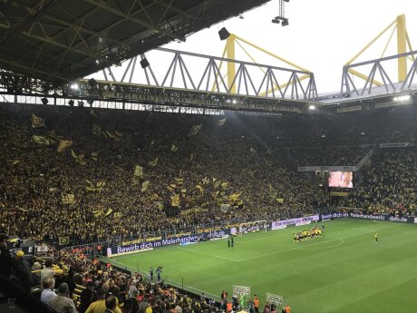 ©  BVB