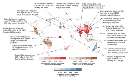 ©  Environmental Research