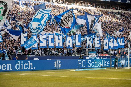 ©  Schalke 04