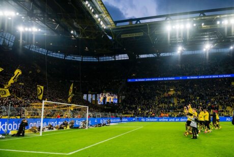 ©  BVB
