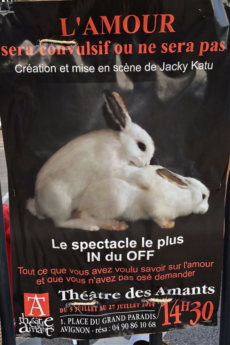 Avignon 2014 - affiche 11