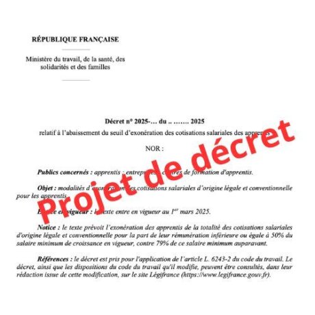 ©  Ministère du travail, de l'emploi, des solidarités et des familles