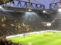 ©  BVB