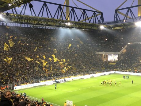 ©  BVB