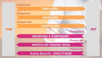 Les interfaces Paie / Gestion des temps et l’impact de la DSN - D.R.