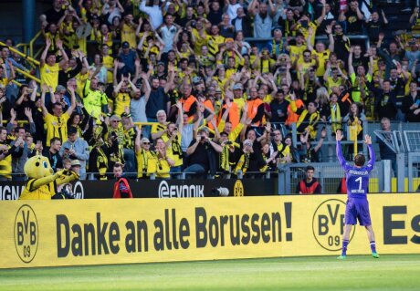©  BVB