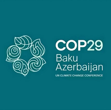 ©  Cop 29