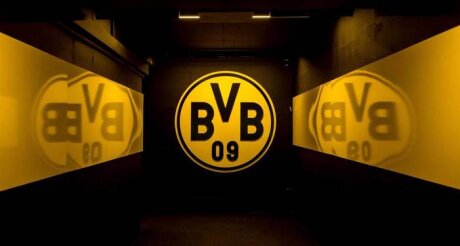 ©  BVB