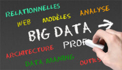 Big Data : quelles applications pour les RH ?
