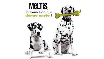 Comment motiver ses collaborateurs sans les augmenter ? - D.R.