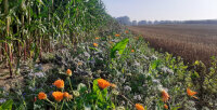 ©  Pour une agriculture du vivant