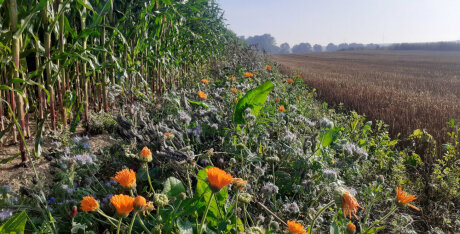 ©  Pour une agriculture du vivant