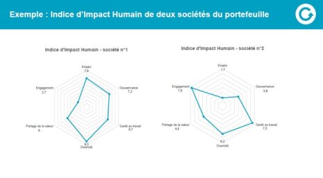 Indice d’impact humain : 2 exemples de représentation graphique - © D.R.