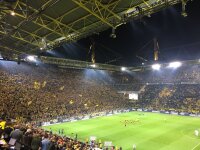 ©  BvB