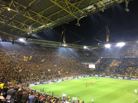 ©  BvB