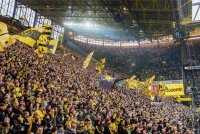 ©  BVB