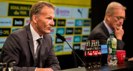 ©  BVB