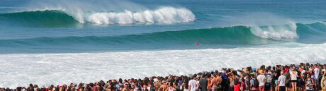 ©  WSL