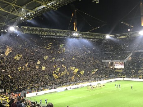 ©  BVB
