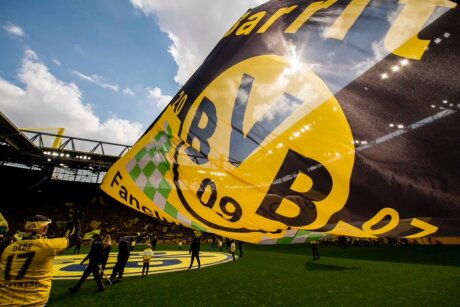 ©  BVB