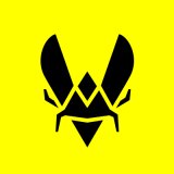Team Vitality
