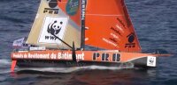 ©  WWF France