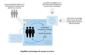 Rapport Frouin : l'équilibre économique du recours à un tiers - © D.R.