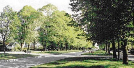 ©  AAAAC Meudon