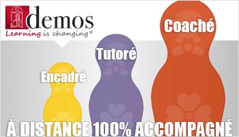 Tribune - « Valoriser l’individu pour être plus efficace collectivement » - D.R.