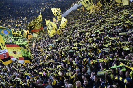 ©  BVB