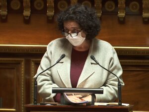 Frédérique Vidal au Sénat le 10/02/2021 - © D.R.
