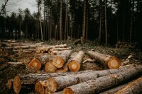©  Unsplash